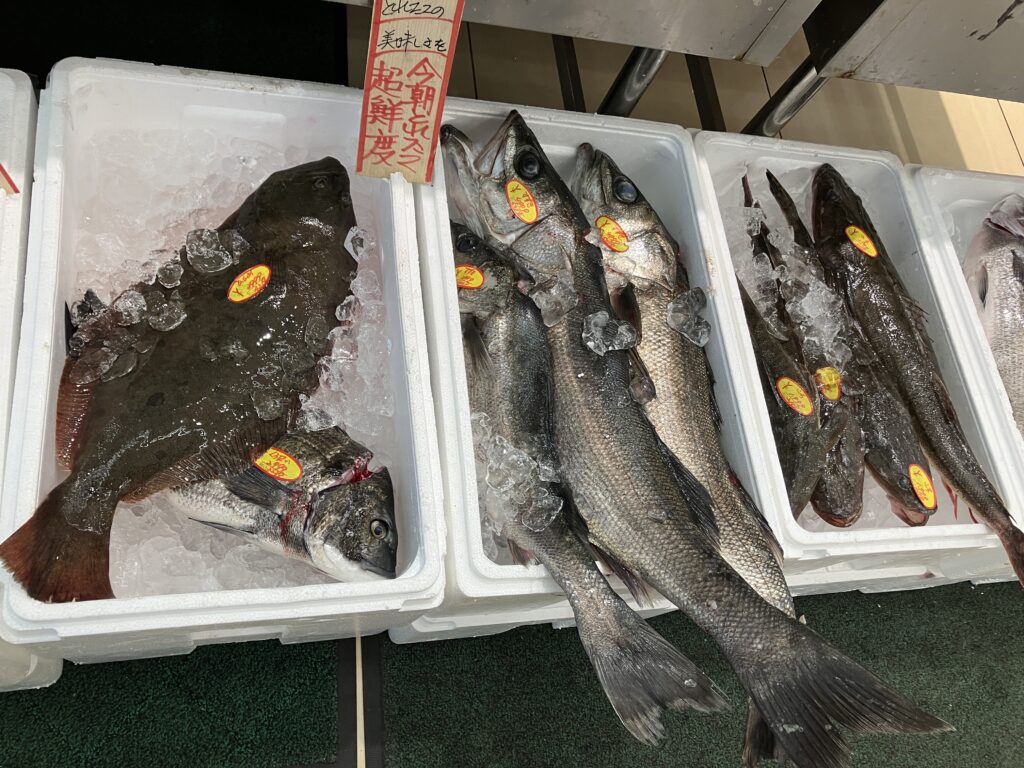 スーパーヤオマサ大磯店の魚