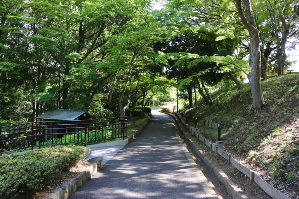 県立大磯城山公園