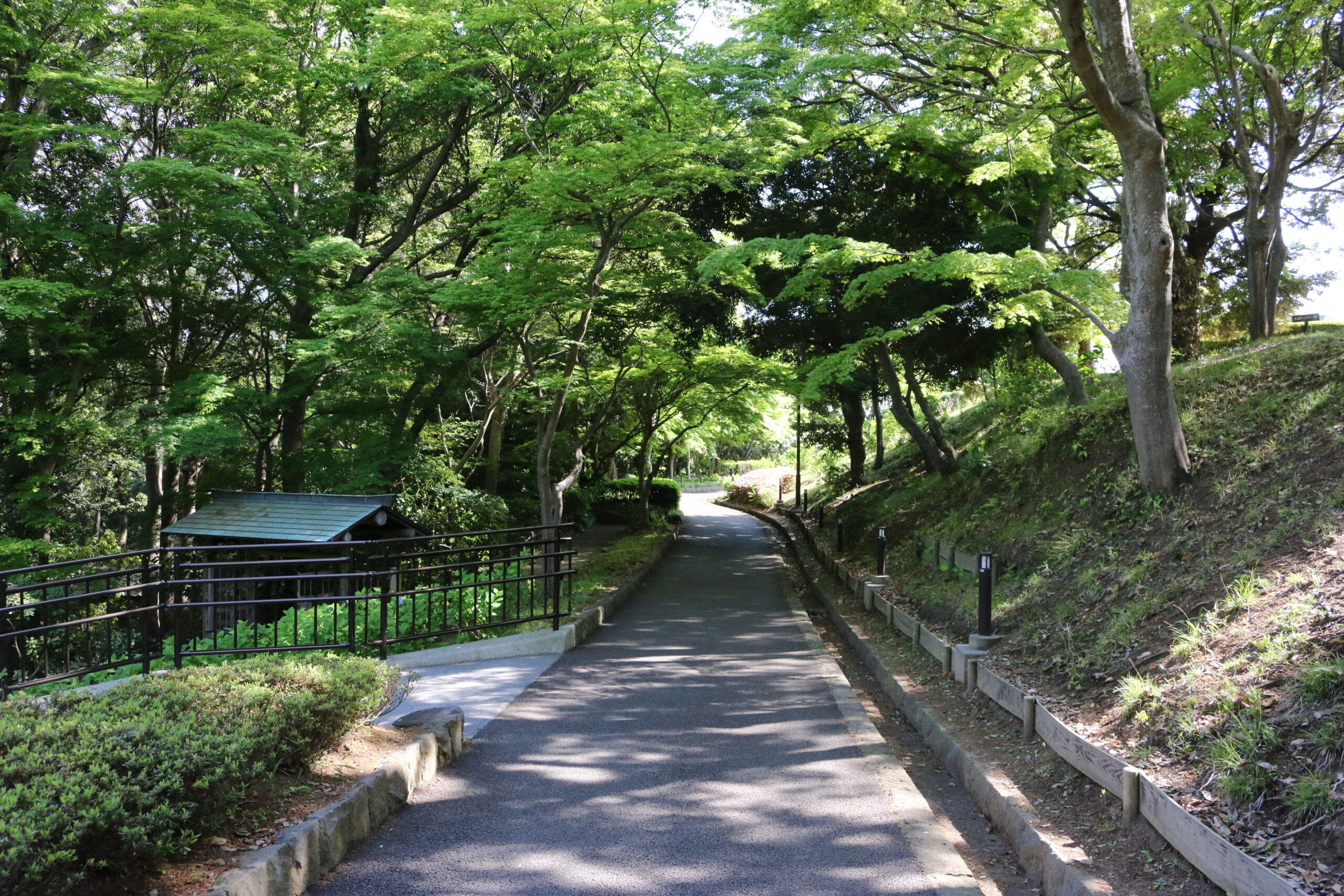 県立大磯城山公園