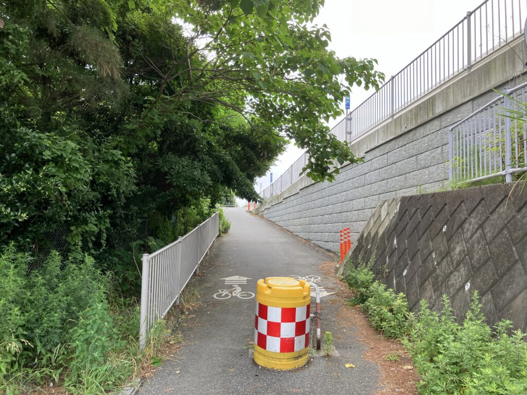 坂を上ると太平洋自転車道です。