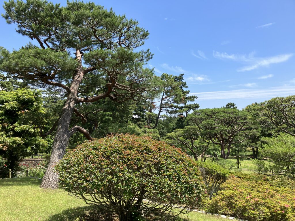 大隈重信別邸からの庭